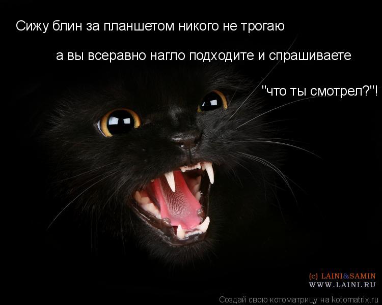 Сижу блин за планшетом никого не трогаю а вы всеравно нагло подходите и спрашиваете "что ты смотрел?"... Котоматрица: Сижу блин за планшетом никого не трогаю а вы всеравно нагло подходите и спрашиваете "что ты смотрел?"!