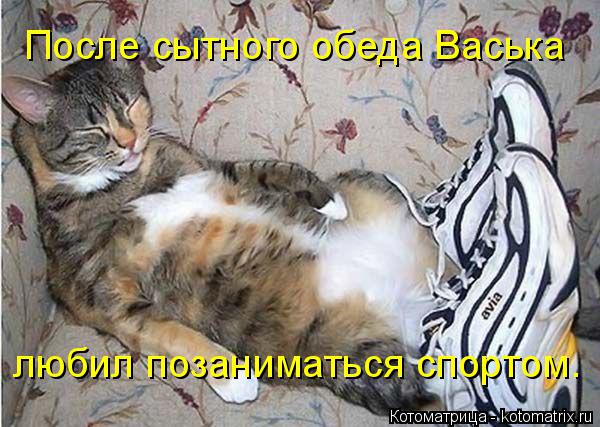Котоматрица: После сытного обеда Васька любил позаниматься спортом.