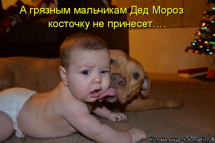 Котоматрица: А грязным мальчикам Дед Мороз   косточку не принесет….
