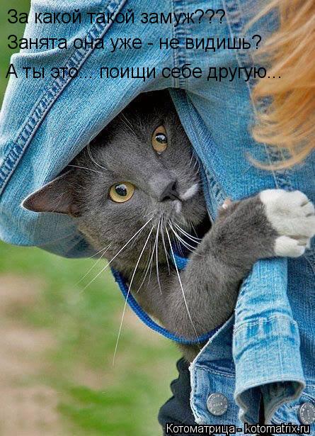 За какой такой замуж??? Занята она уже - не видишь? А ты это... поищи себе другую...... Котоматрица: За какой такой замуж??? Занята она уже - не видишь? А ты это... поищи себе другую...