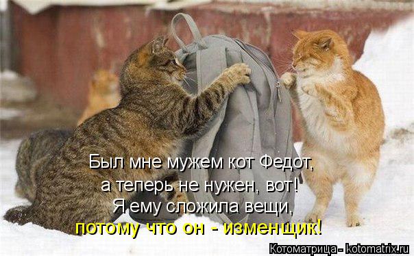 потому что он - изменщик! Я ему сложила вещи, а теперь не нужен, вот! Был мне мужем кот Федот,... Котоматрица: потому что он - изменщик! Я ему сложила вещи, а теперь не нужен, вот! Был мне мужем кот Федот,