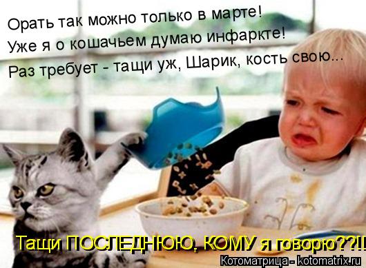 Котоматрица: Уже я о кошачьем думаю инфаркте! Раз требует - тащи уж, Шарик, кость свою... Орать так можно только в марте! Тащи ПОСЛЕДНЮЮ, КОМУ я говорю??!! Тащ
