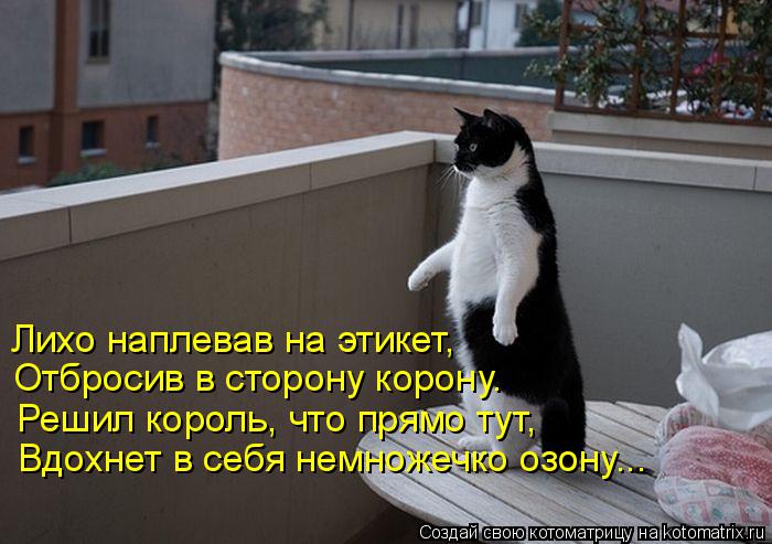 Котоматрица: Лихо наплевав на этикет, Отбросив в сторону корону. Решил король, что прямо тут, Вдохнет в себя немножечко озону...