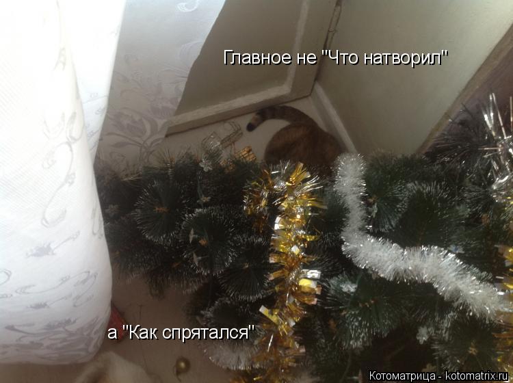 Главное не "Что натворил" а "Как спрятался"... Котоматрица: Главное не "Что натворил" а "Как спрятался"