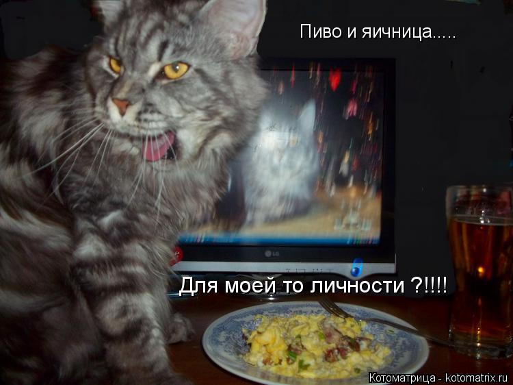 Пиво и яичница..... Для моей то личности ?!!!!... Котоматрица: Пиво и яичница..... Для моей то личности ?!!!!
