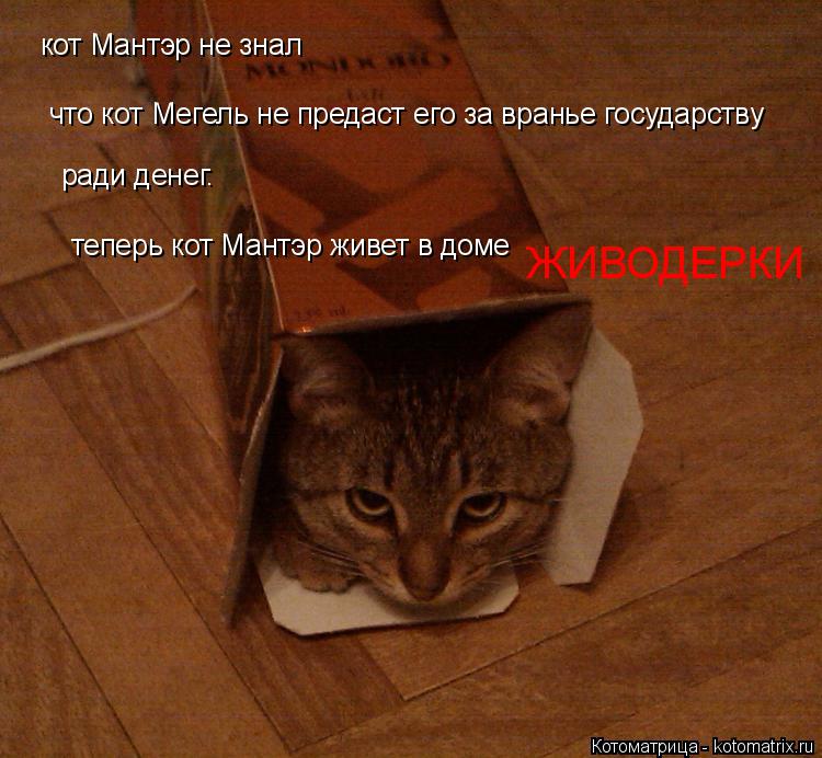кот Мантэр не знал что кот Мегель не предаст его за вранье государству ради денег. теперь кот Мантэр... Котоматрица: кот Мантэр не знал что кот Мегель не предаст его за вранье государству ради денег. теперь кот Мантэр живет в доме ЖИВОДЕРКИ