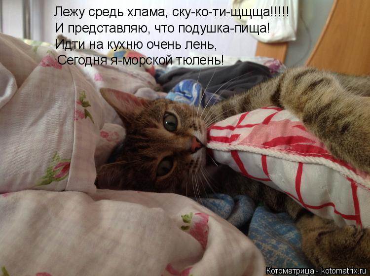 Лежу средь хлама, ску-ко-ти-щщща!!!!! И представляю, что подушка-пища! Идти на кухню очень лень, Сего... Котоматрица: Лежу средь хлама, ску-ко-ти-щщща!!!!! И представляю, что подушка-пища! Идти на кухню очень лень, Сегодня я-морской тюлень!
