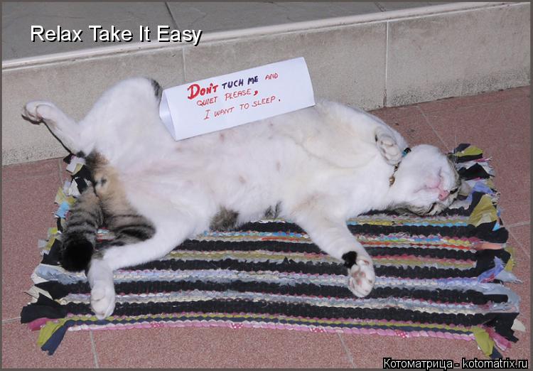 Котоматрица: Relax Take It Easy