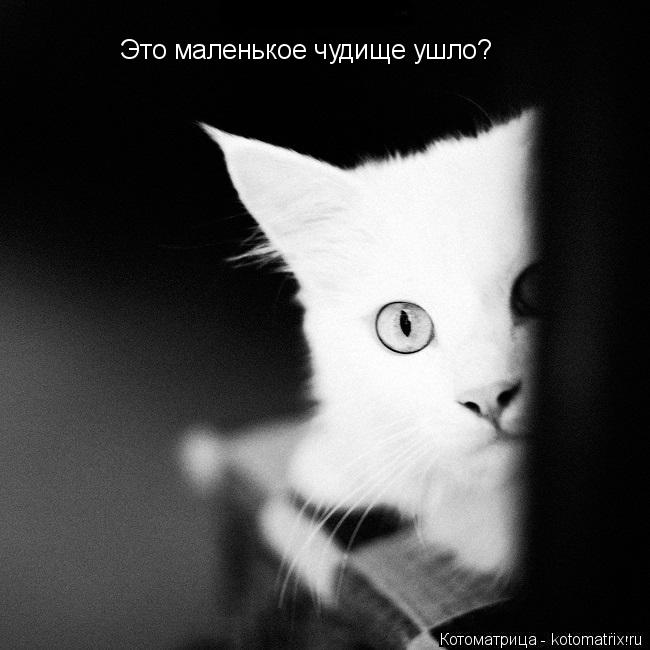 Это маленькое чудище ушло?... Котоматрица: Это маленькое чудище ушло?