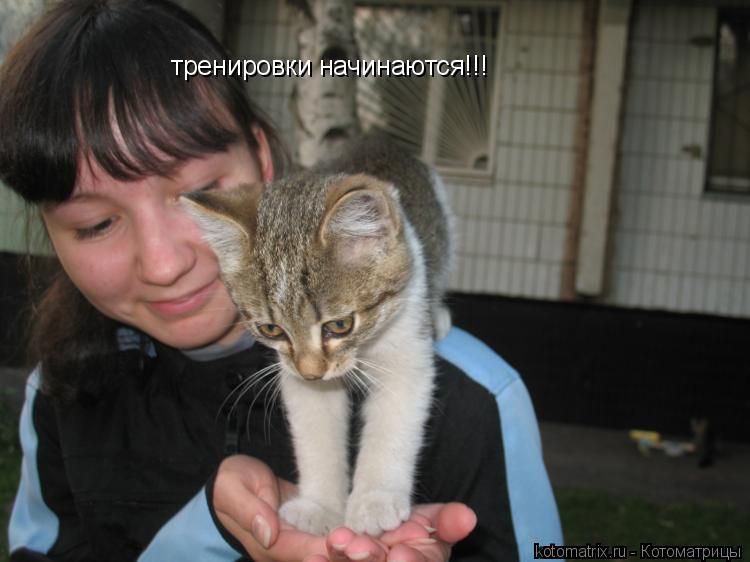 Котоматрица: тренировки начинаются!!!