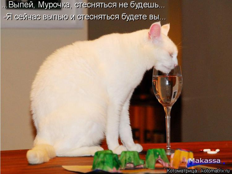 ...Выпей, Мурочка, стесняться не будешь... -Я сейчас выпью и стесняться будете вы...... Котоматрица: ...Выпей, Мурочка, стесняться не будешь... -Я сейчас выпью и стесняться будете вы...