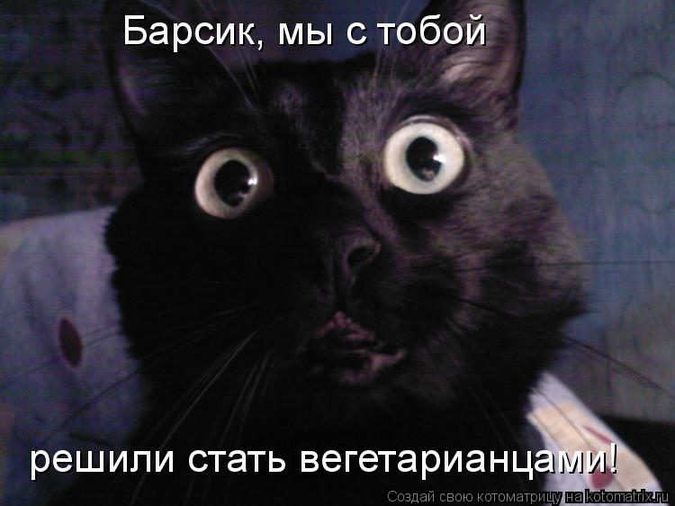 Котоматрица: Барсик, мы с тобой решили стать вегетарианцами!