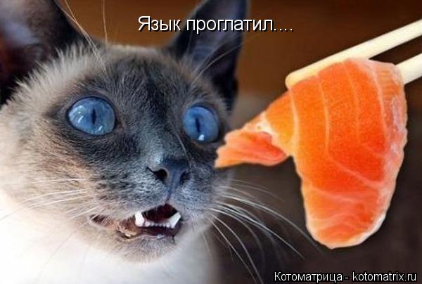 Язык проглатил....... Котоматрица: Язык проглатил....