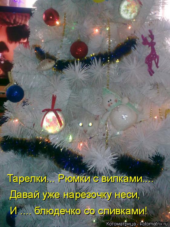 Котоматрица: Тарелки... Рюмки с вилками.... Давай уже нарезочку неси, И .... блюдечко со сливками!