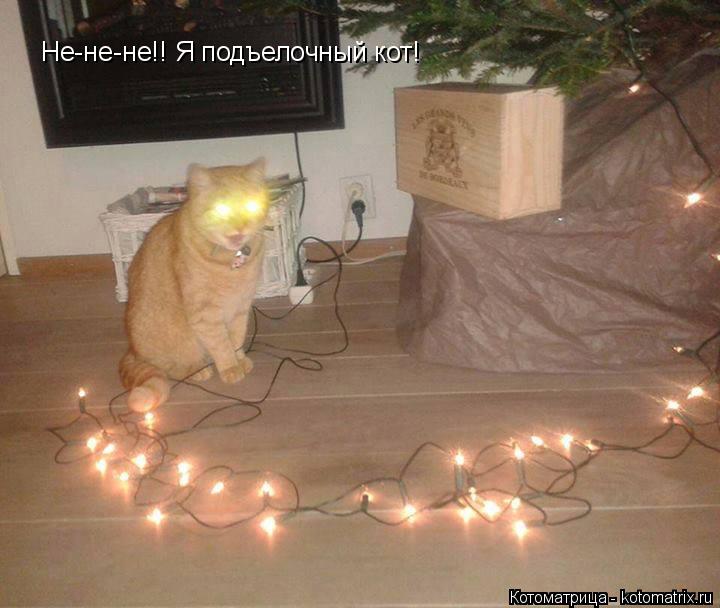 Не-не-не!! Я подъелочный кот!... Котоматрица: Не-не-не!! Я подъелочный кот!