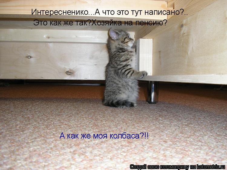 Интересненико...А что это тут написано?.. Это как же так?Хозяйка на пенсию? А как же моя колбаса?!!... Котоматрица: Интересненико...А что это тут написано?.. Это как же так?Хозяйка на пенсию? А как же моя колбаса?!!