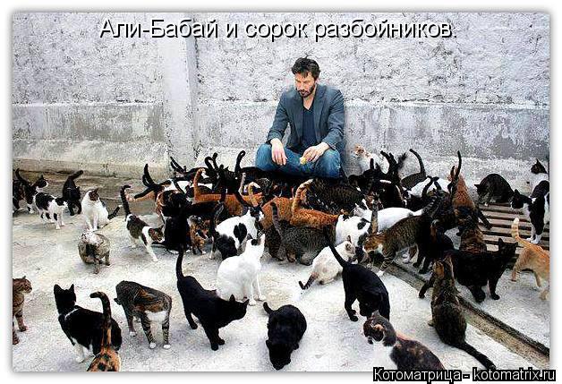 Али-Бабай и сорок разбойников.... Котоматрица: Али-Бабай и сорок разбойников.