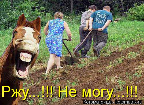Ржу...!!! Не могу...!!!... Котоматрица: Ржу...!!! Не могу...!!!