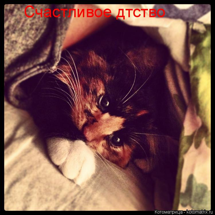 Счастливое дтство... Котоматрица: Счастливое дтство
