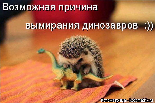Котоматрица: Возможная причина вымирания динозавров  :))