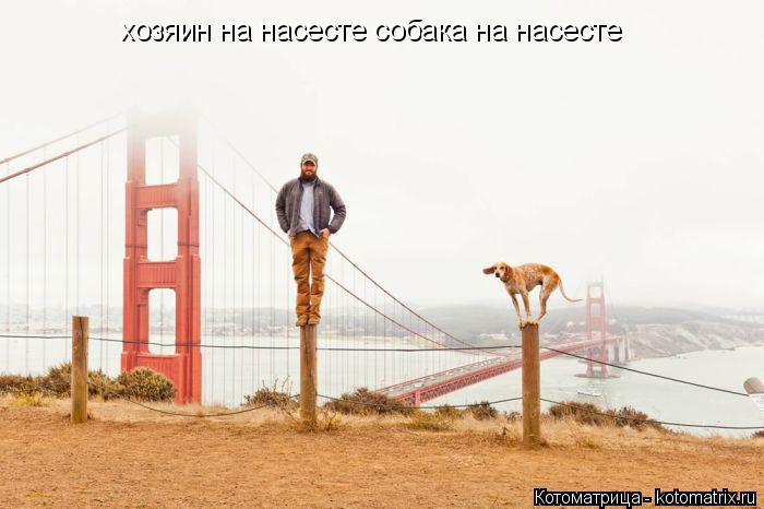 хозяин на насесте собака на насесте... Котоматрица: хозяин на насесте собака на насесте