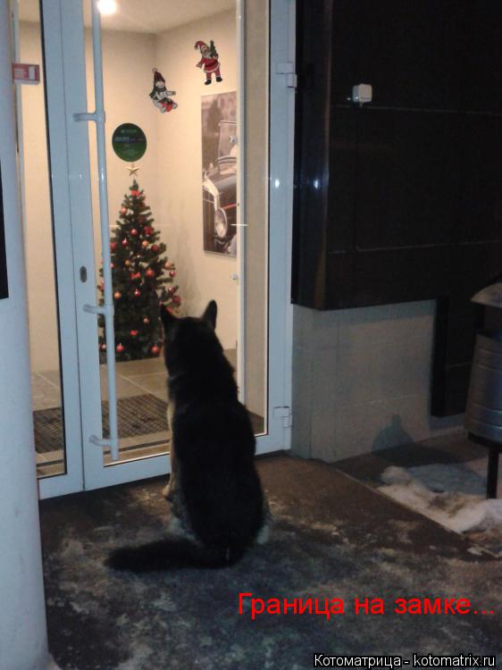 Граница на замке...... Котоматрица: Граница на замке...