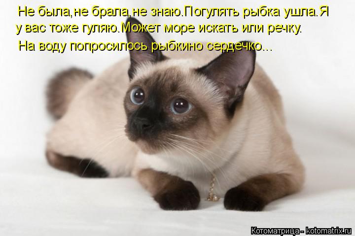 Не была,не брала,не знаю.Погулять рыбка ушла.Я у вас тоже гуляю.Может море искать или речку. На воду ... Котоматрица: Не была,не брала,не знаю.Погулять рыбка ушла.Я у вас тоже гуляю.Может море искать или речку. На воду попросилось рыбкино сердечко...