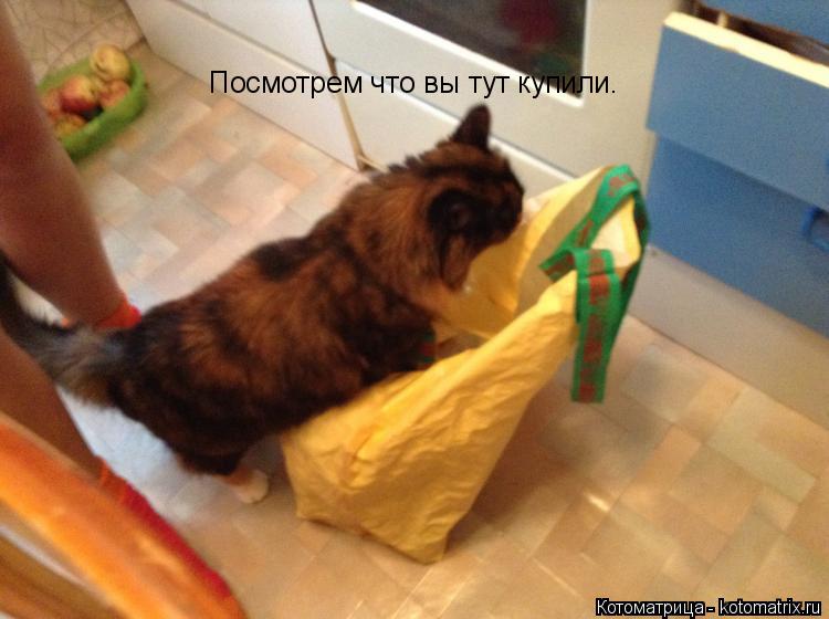 Посмотрем что вы тут купили.... Котоматрица: Посмотрем что вы тут купили.
