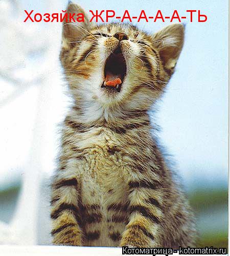 Котоматрица: Хозяйка ЖР-А-А-А-А-ТЬ