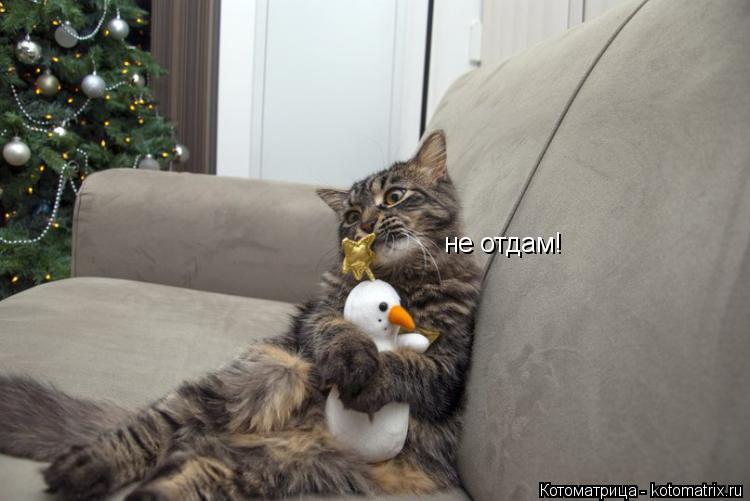 не отдам!... Котоматрица: не отдам!