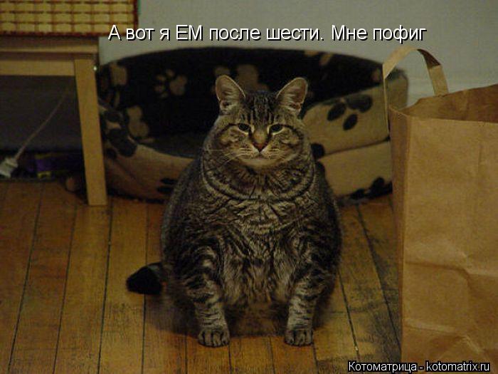 А вот я ЕМ после шести. Мне пофиг... Котоматрица: А вот я ЕМ после шести. Мне пофиг