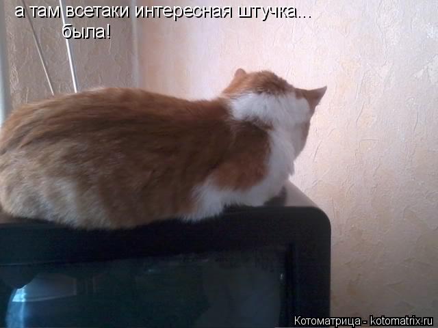 а там всетаки интересная штучка... а там всетаки интересная штучка... была!... Котоматрица: а там всетаки интересная штучка... а там всетаки интересная штучка... была!