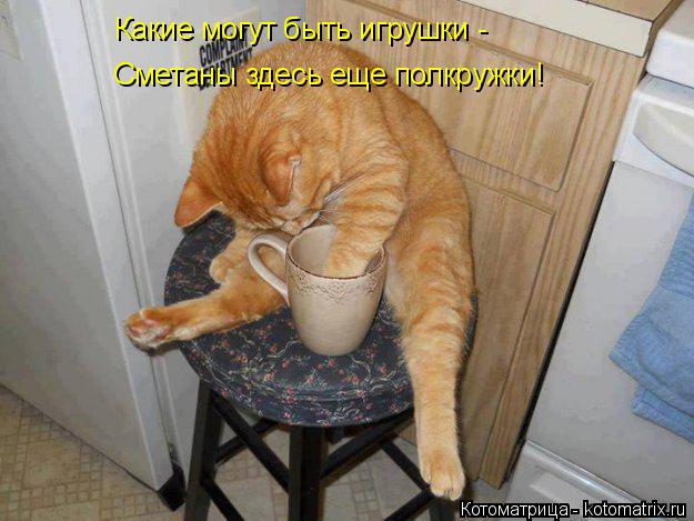 Какие могут быть игрушки - Сметаны здесь еще полкружки!... Котоматрица: Какие могут быть игрушки - Сметаны здесь еще полкружки!
