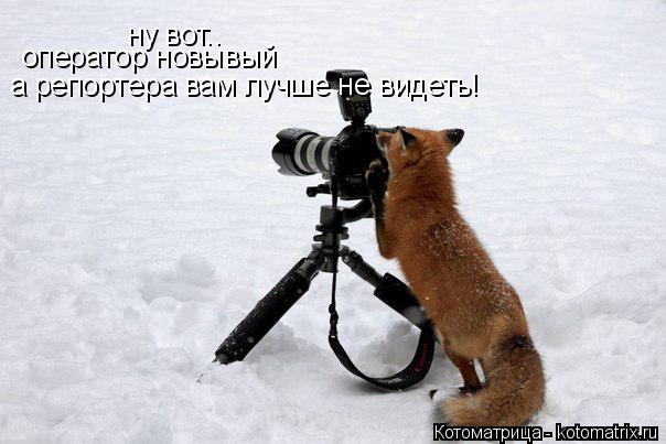 ну вот.. оператор новывый а репортера вам лучше не видеть!... Котоматрица: ну вот.. оператор новывый а репортера вам лучше не видеть!