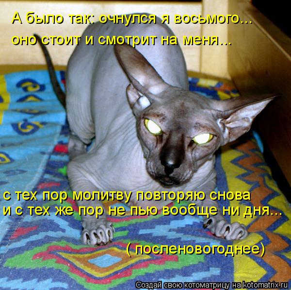 Котоматрица: А было так: очнулся я восьмого... оно стоит и смотрит на меня... с тех пор молитву повторяю снова и с тех же пор не пью вообще ни дня... ( посленов