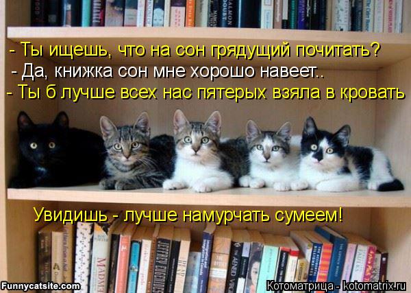 Котоматрица: - Ты ищешь, что на сон грядущий почитать? - Да, книжка сон мне хорошо навеет.. - Ты б лучше всех нас пятерых взяла в кровать Увидишь - лучше намур