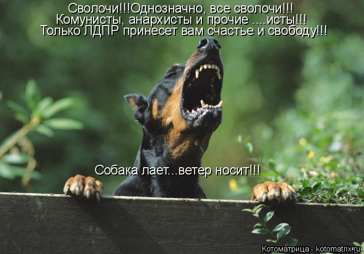 Сволочи!!!Однозначно, все сволочи!!! Комунисты, анархисты и прочие ....исты!!! Только ЛДПР принесет в... Котоматрица: Сволочи!!!Однозначно, все сволочи!!! Комунисты, анархисты и прочие ....исты!!! Только ЛДПР принесет вам счастье и свободу!!! Собака лает...ветер н