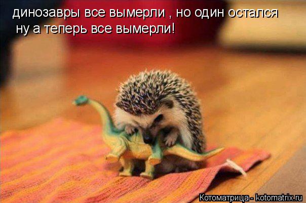динозавры все вымерли , но один остался ну а теперь все вымерли!... Котоматрица: динозавры все вымерли , но один остался ну а теперь все вымерли!