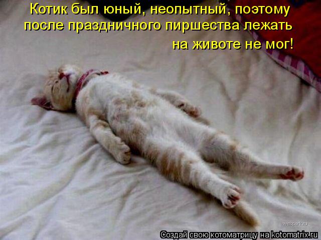 Котик был юный, неопытный, поэтому после праздничного пиршества лежать на животе не мог!... Котоматрица: Котик был юный, неопытный, поэтому после праздничного пиршества лежать на животе не мог!