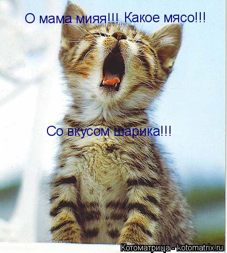 О мама мияя!!! Какое мясо!!! Со вкусом шарика!!!... Котоматрица: О мама мияя!!! Какое мясо!!! Со вкусом шарика!!!