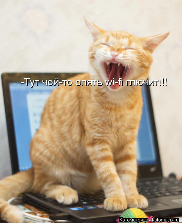-Тут чой-то опять wi-fi глючит!!!... Котоматрица: -Тут чой-то опять wi-fi глючит!!!