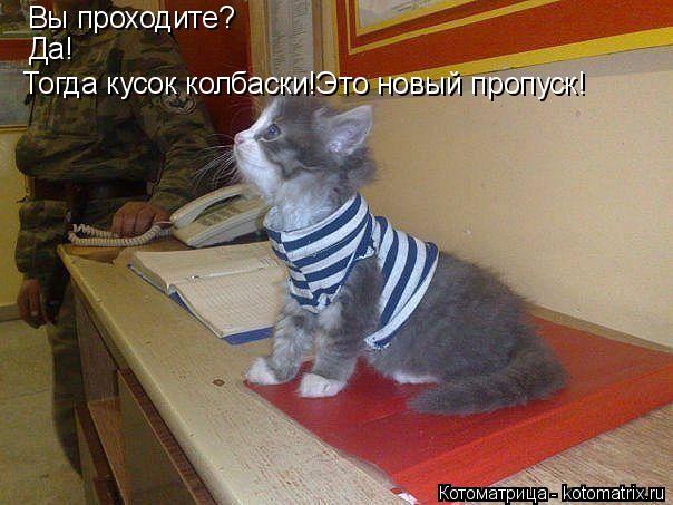 Вы проходите? Да! Да! Тогда кусок колбаски!Это новый пропуск! Тогда кусок колбаски!Это новый пропуск!... Котоматрица: Вы проходите? Да! Да! Тогда кусок колбаски!Это новый пропуск! Тогда кусок колбаски!Это новый пропуск!