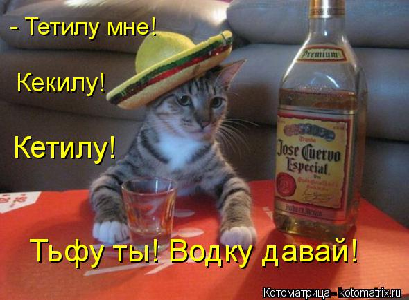 Кекилу! Кетилу! - Тетилу мне! Тьфу ты! Водку давай!... Котоматрица: Кекилу! Кетилу! - Тетилу мне! Тьфу ты! Водку давай!