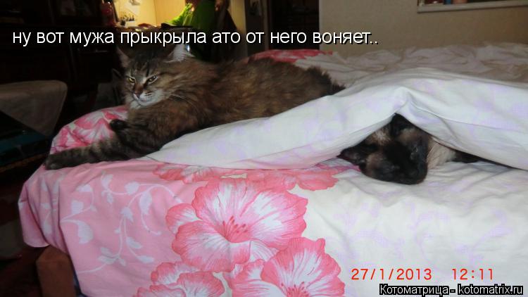 ну вот мужа прыкрыла ато от него воняет..... Котоматрица: ну вот мужа прыкрыла ато от него воняет..