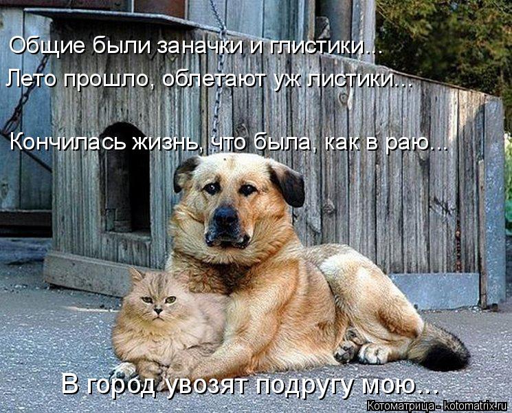 В город увозят подругу мою... Кончилась жизнь, что была, как в раю... Лето прошло, облетают уж листик... Котоматрица: В город увозят подругу мою... Кончилась жизнь, что была, как в раю... Лето прошло, облетают уж листики... Общие были заначки и глистики...