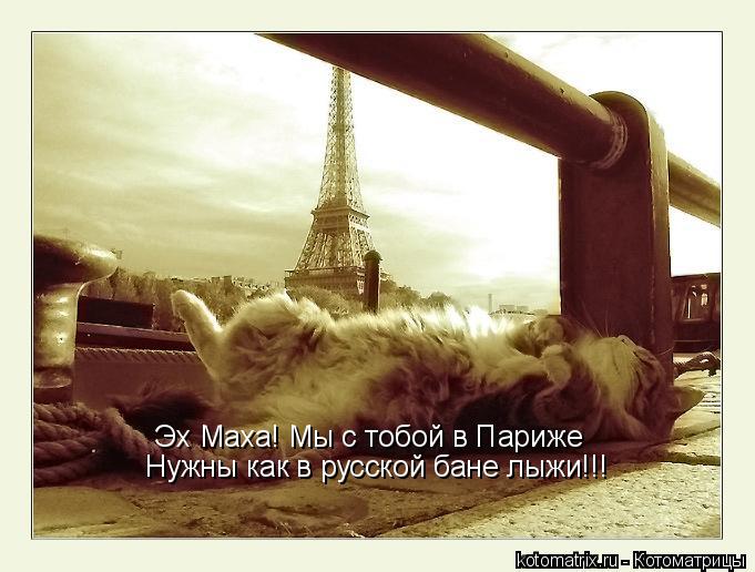 Эх Маха! Мы с тобой в Париже Нужны как в русской бане лыжи!!!... Котоматрица: Эх Маха! Мы с тобой в Париже Нужны как в русской бане лыжи!!!