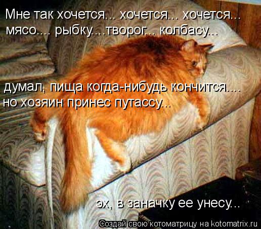 Котоматрица: Мне так хочется... хочется... хочется... мясо.... рыбку....творог... колбасу... думал, пища когда-нибудь кончится.... но хозяин принес путассу... эх, в з