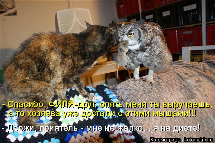 - Спасибо, ФИЛЯ-друг, опять меня ты выручаешь, а то хозяева уже достали с этими мышами!!! - Держи, п... Котоматрица: - Спасибо, ФИЛЯ-друг, опять меня ты выручаешь, а то хозяева уже достали с этими мышами!!! - Держи, приятель - мне не жалко... я на диете! - Держи, пр