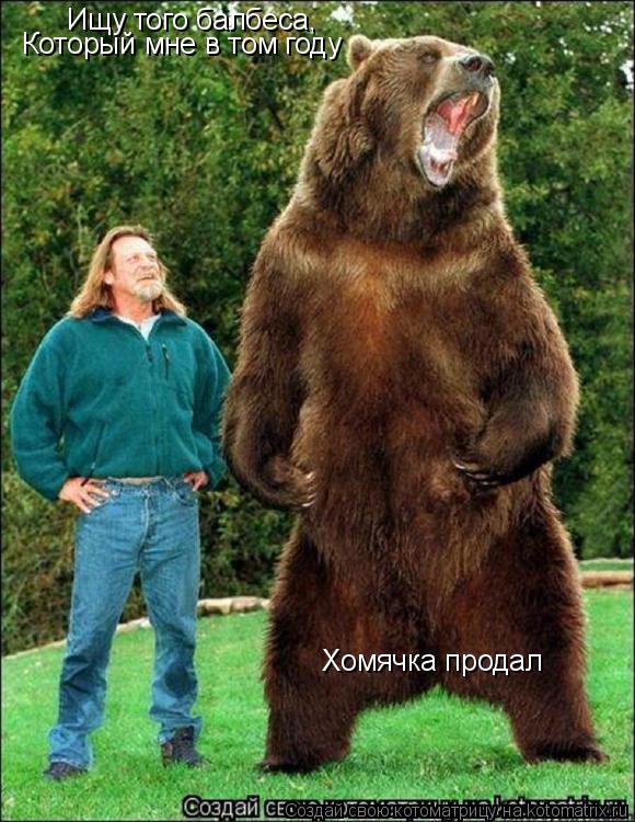 Ищу того балбеса, Который мне в том году Хомячка продал... Котоматрица: Ищу того балбеса, Который мне в том году Хомячка продал