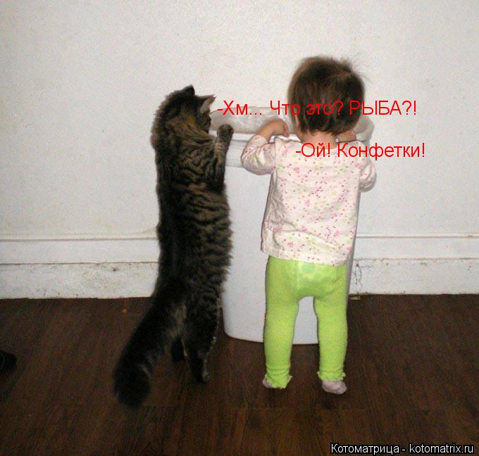 -Ой! Конфетки! -Хм... Что это? РЫБА?!... Котоматрица: -Ой! Конфетки! -Хм... Что это? РЫБА?!